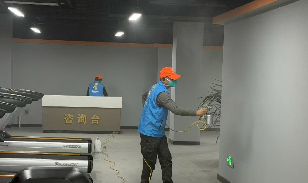 办公室除甲醛:兼顾员工健康与企业效率的解决方案